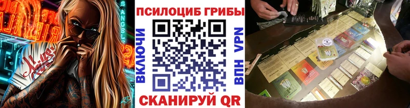 Псилоцибиновые грибы GOLDEN TEACHER  закладки  Никольск 